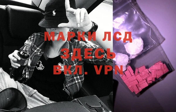 индика Алзамай