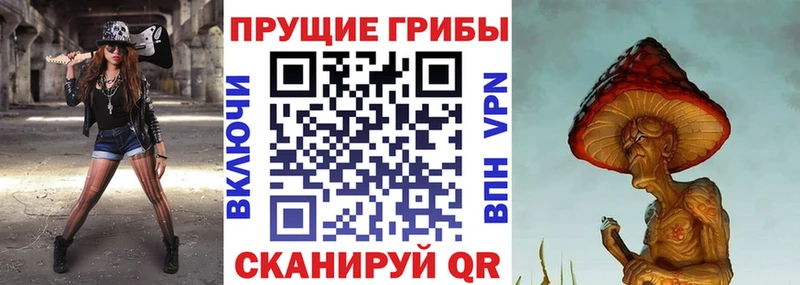 Галлюциногенные грибы прущие грибы  ссылка на мегу ссылка  Галич  где купить  
